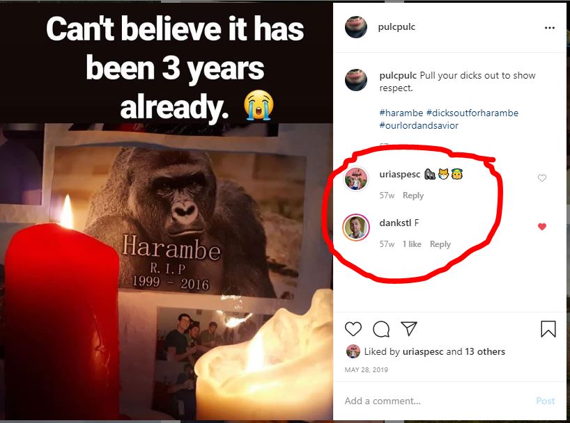 Harambe on Instagram